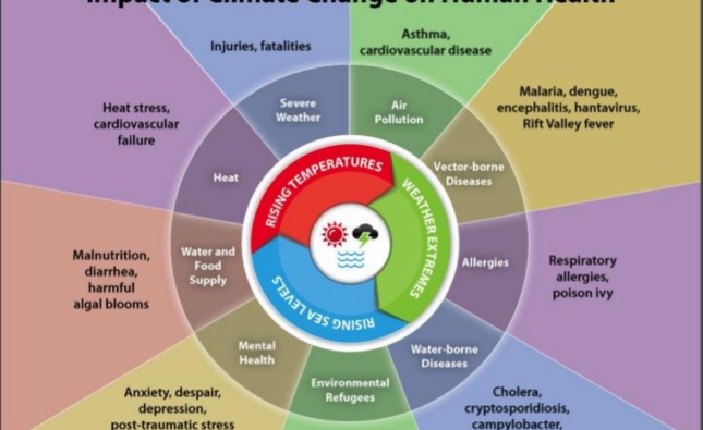 Impact of Climate Change on Public Health
