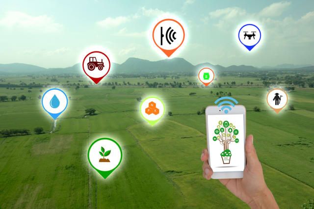 IoT in Agriculture: Transforming Food Production and Sustainability