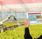 IoT in Agriculture