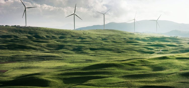 The Influence of Renewable Energy on a Sustainable Future