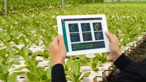 IoT in Agriculture