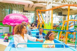 Theme Park Industry Trends