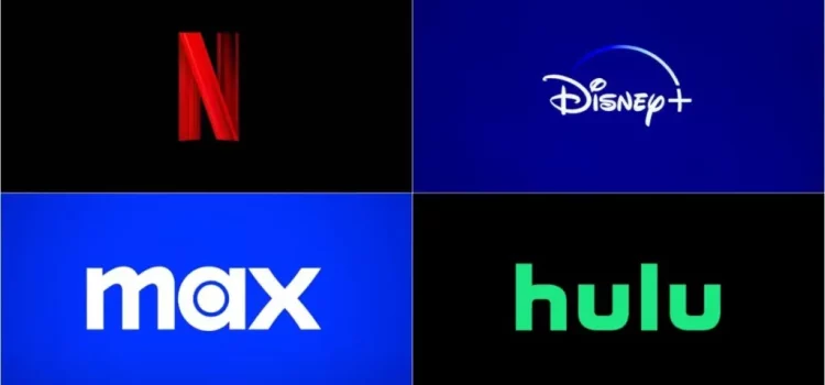 Best New Shows to Stream on Netflix, HBO, Hulu And Disney+