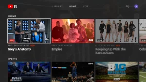 Live TV Streaming Services 2025