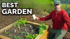 Best Apps for Learning to Garden