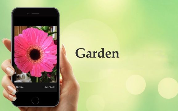 Best Apps for Learning to Garden