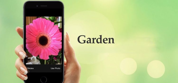 The Best Apps for Learning to Garden