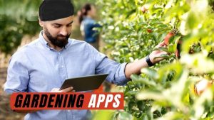 Best Apps for Learning to Garden