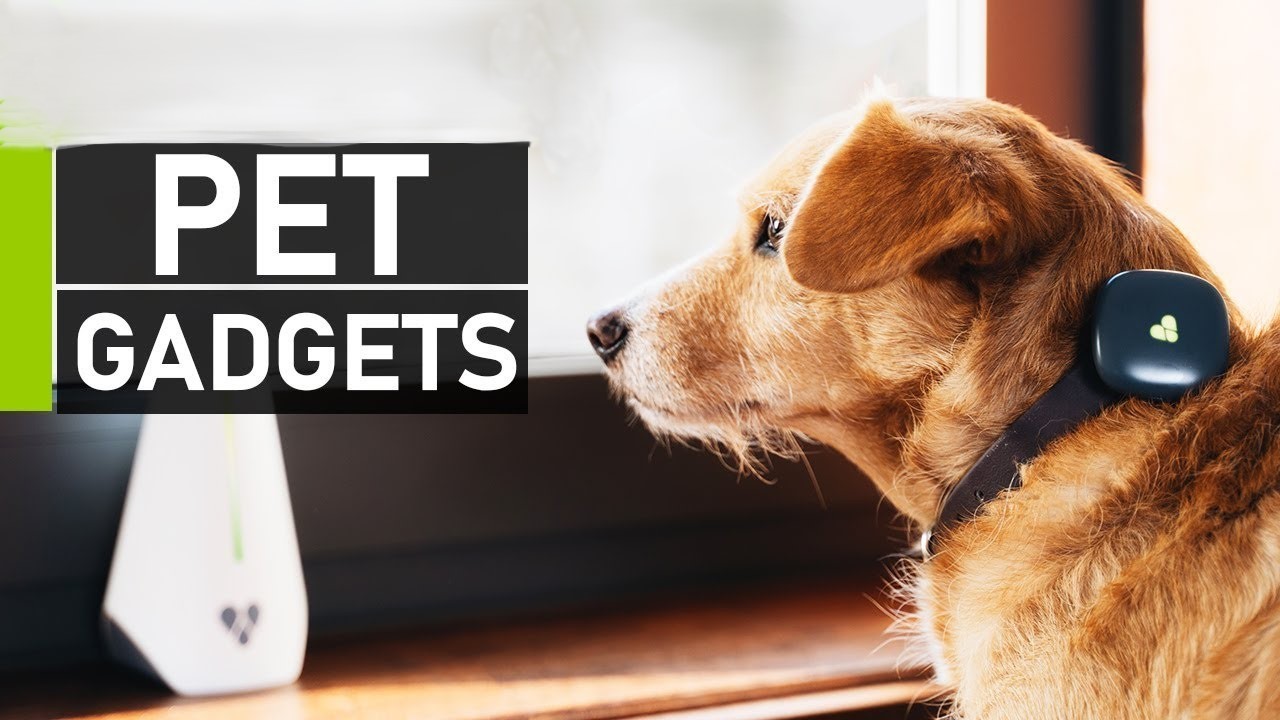Pet Gadgets