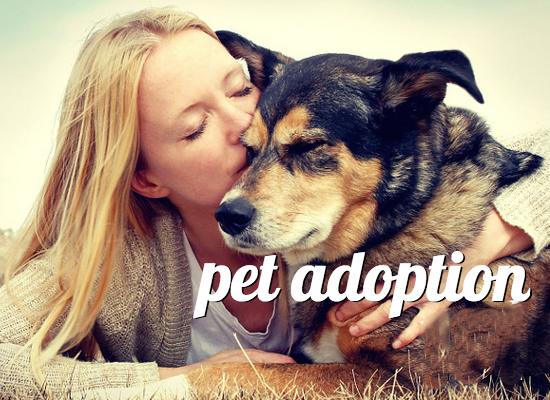 Adopting a Rescue Pet