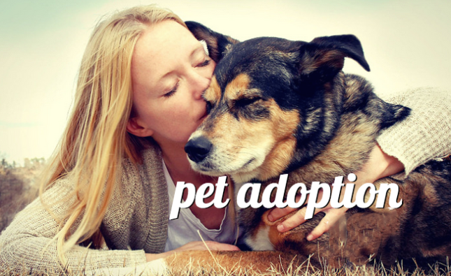 Adopting a Rescue Pet