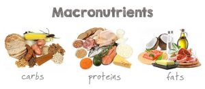7 Top Sports Nutrition Secrets to Boost Athletic Performance