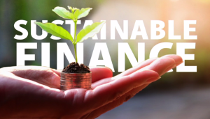Guide to Sustainable Investing for Ethical Returns
