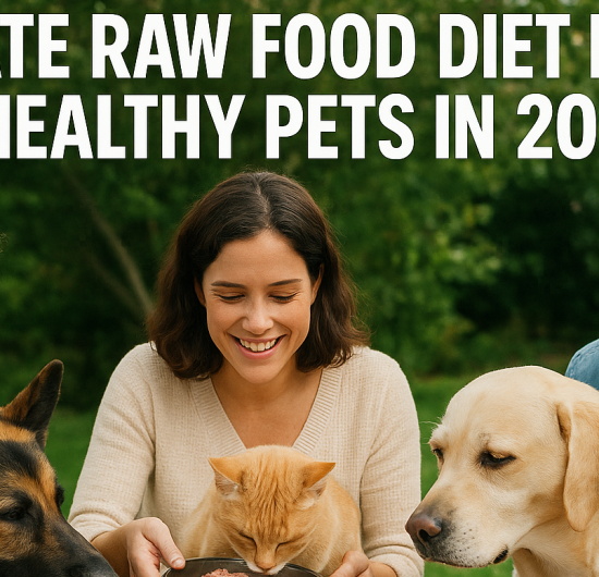 Raw Food Diet Plans for Healthy Pets 2025