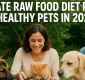 Raw Food Diet Plans for Healthy Pets 2025
