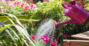 Urban Balcony Herb Gardens: Fresh Flavors in Small Spaces