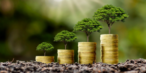 Guide to Sustainable Investing for Ethical Returns