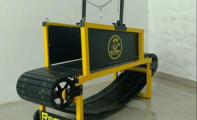 Finding the Perfect Dog Treadmill: Treadmill For Dogs