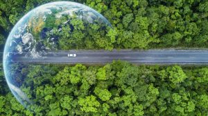 Sustainable Travel Practices for 2025 Adventurers