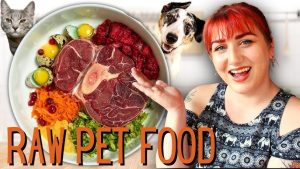 Raw Food Diet Plans for Healthy Pets 2025