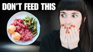 Raw Food Diet Plans for Healthy Pets 2025