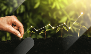 Guide to Sustainable Investing for Ethical Returns