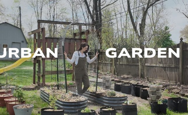 Urban Gardening to Attract Wildlife 2025