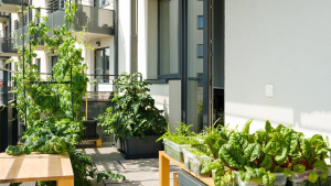 Urban Balcony Herb Gardens: Fresh Flavors in Small Spaces