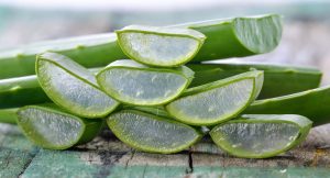 Aloe and Neem for Radiant Skin