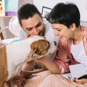 Pet