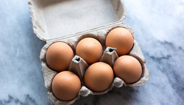 Why Table Eggs Consumption Is Rising in Europe and the U.S.