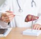 LFT Test Price Near Me: Guide on Cost, Procedure and Benefits