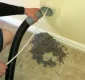 dryer vent cleaning